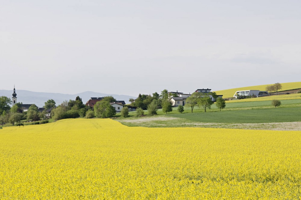 1339126999-l-house-01-context_arhipura