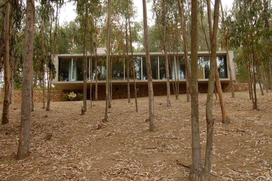 Omnibus House_ proiecte arhipura_om_240313_08-940x628