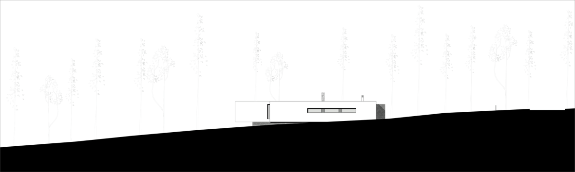 5032f0d228ba0d1c20000023_u-house-jorge-graca-costa_elevation_-1-