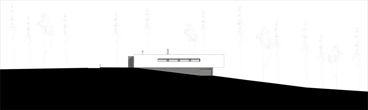 5032f0e328ba0d1c20000024_u-house-jorge-graca-costa_elevation_-2-