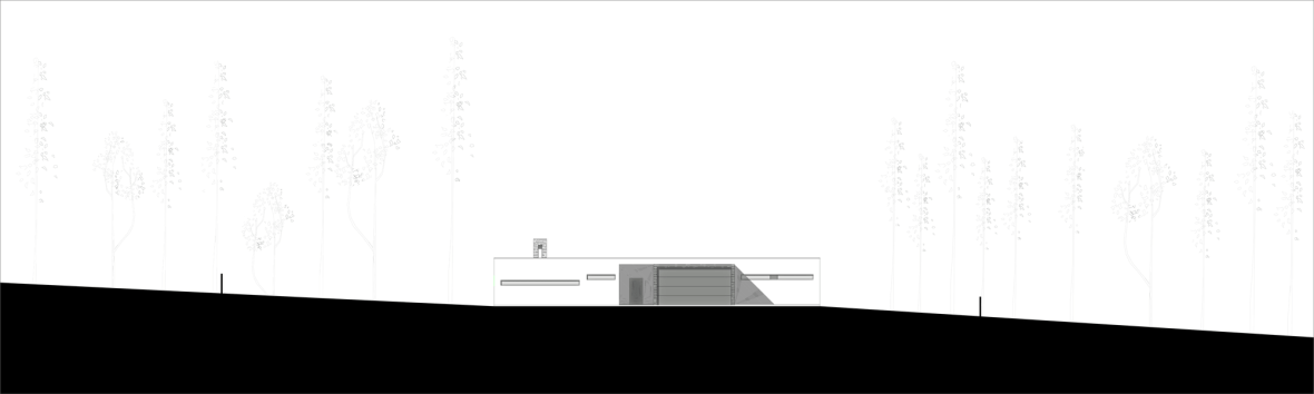 5032f10428ba0d1c20000026_u-house-jorge-graca-costa_elevation