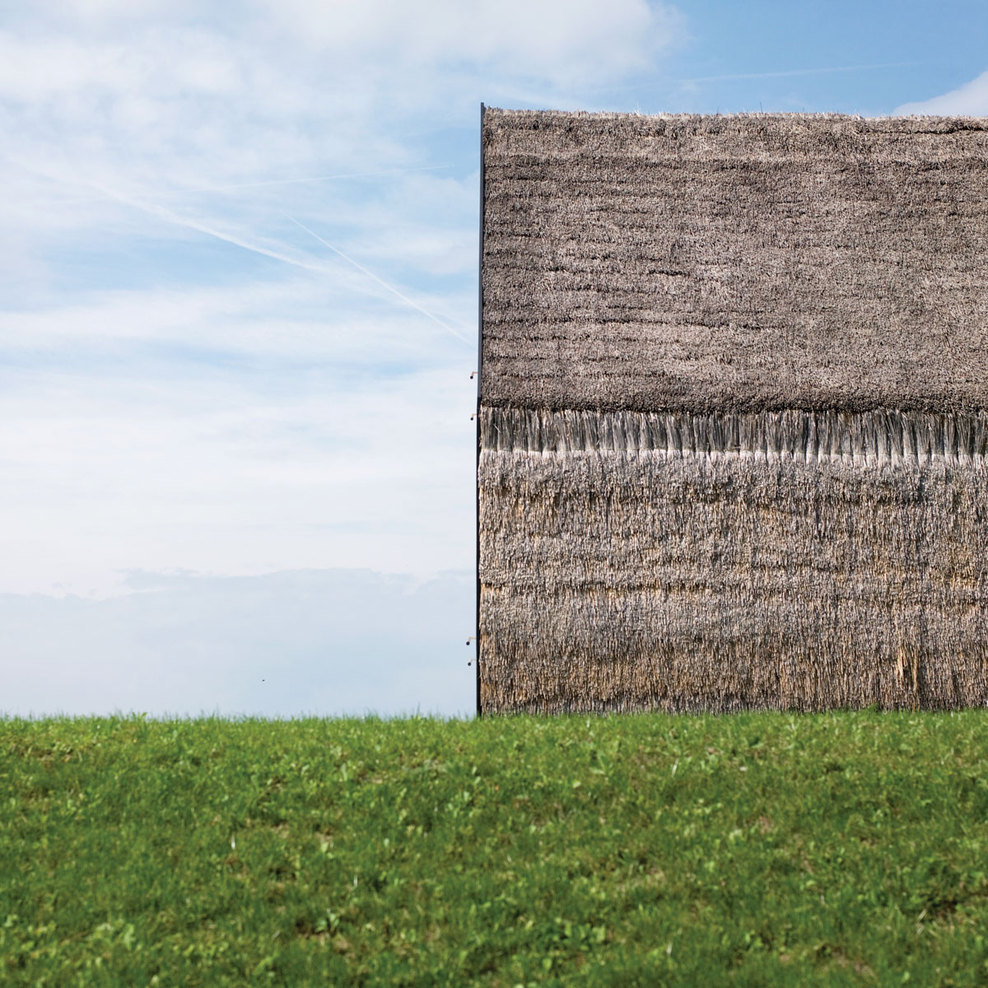 arhipura proiecte case11_full