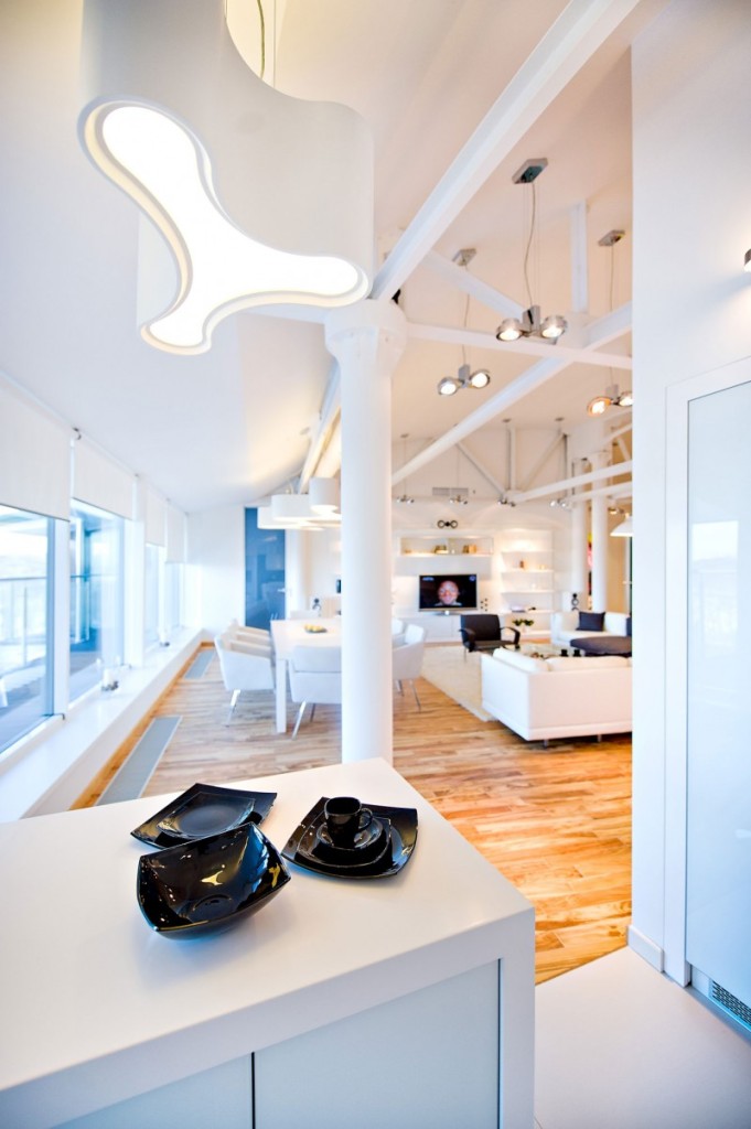 Loft-Apartment-by-Grosu-Art-Studio-08-681x1024